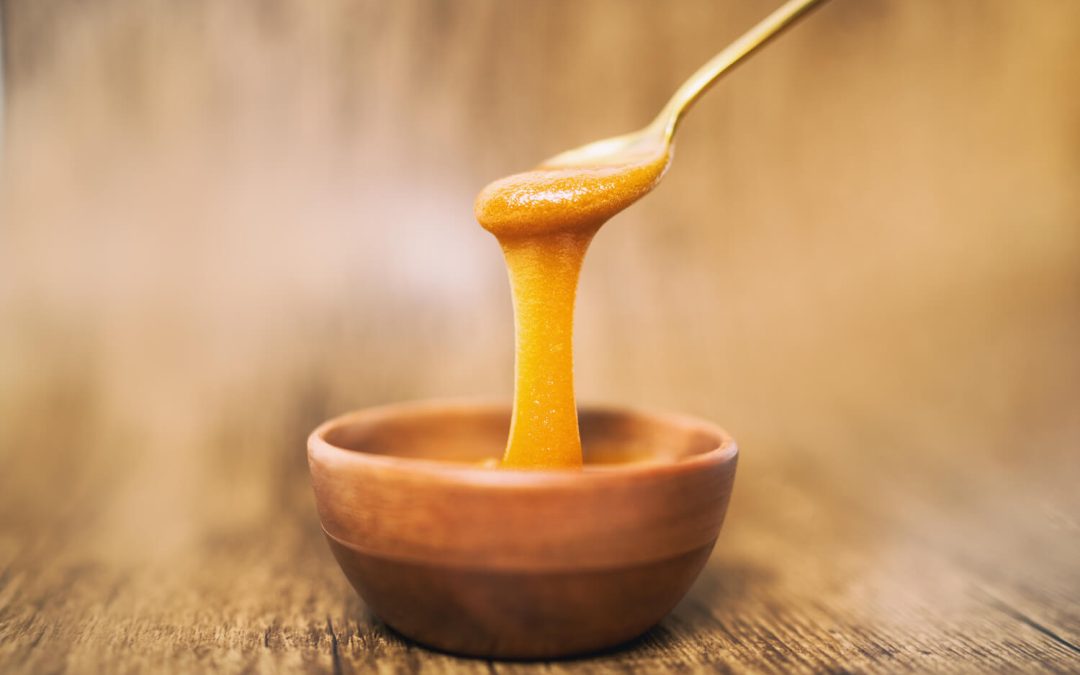 Manuka honey wound dressing