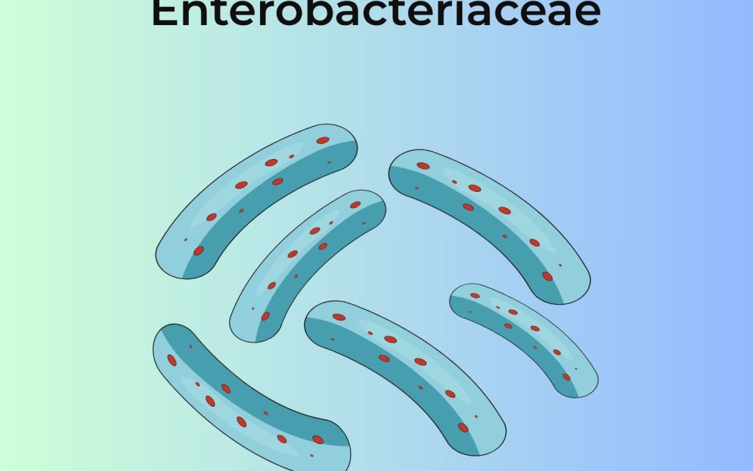 Carbapenem-resistant Enterobacteriacea